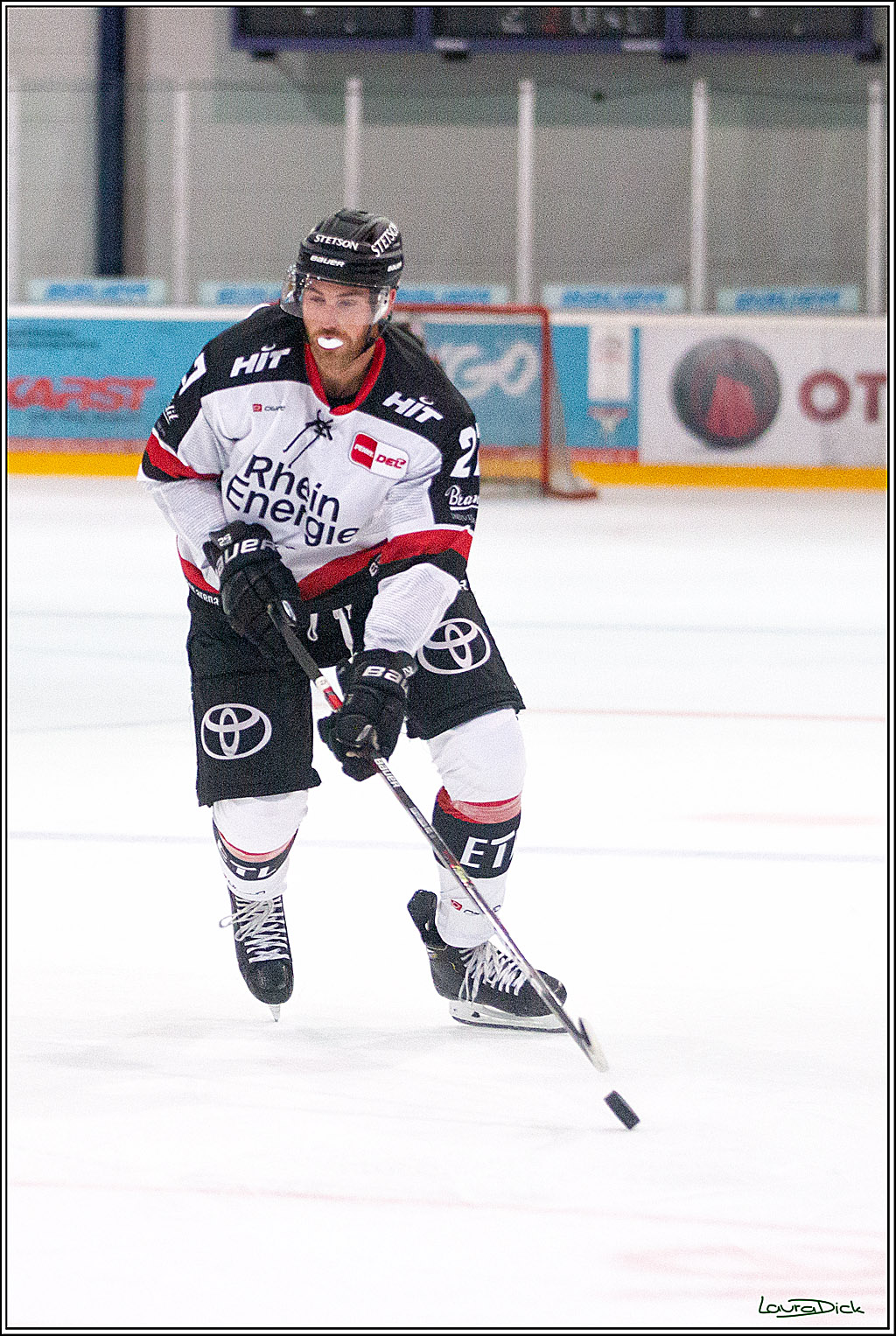PENNY DEL;  Koelner Haie - Aalborg Pirates; Koeln, 21.08.2021